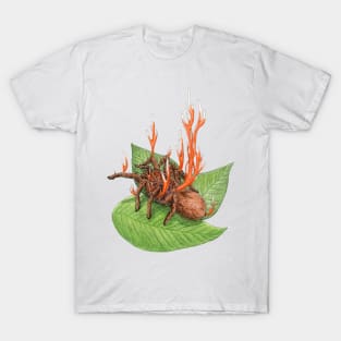 Cordyceps Tarantula (Cordyceps caloceroides) T-Shirt